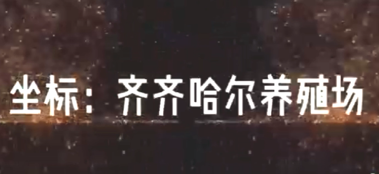 齊齊哈爾某養殖場案例現場